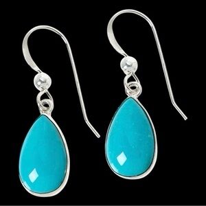 Jay King Mine Finds DTR 925 Sterling Chilean Turquoise Teardrop Pierced Earrings